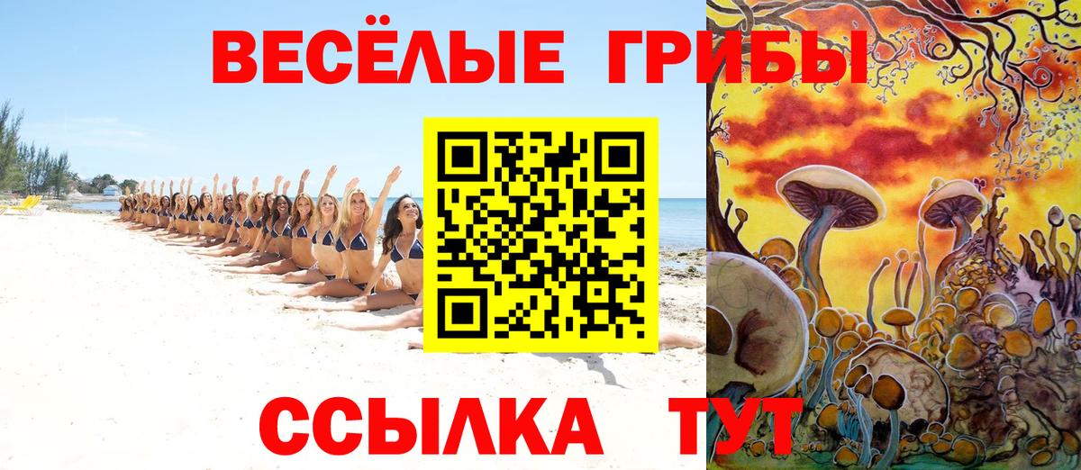 Электрогорск  Псилоцибиновые грибы ЛСД  Вход с VPN 