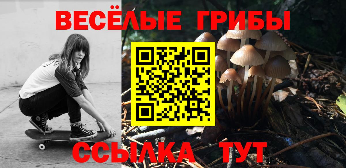 Галлюциногенные грибы Cubensis Электрогорск